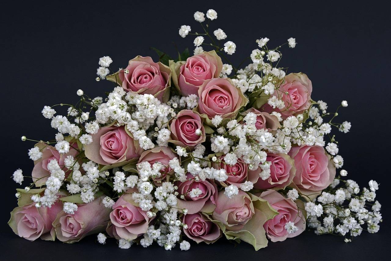roses, flower background, rose petals, blossoms, pink, white, flower wallpaper, gypsophila, flower, nature, bouquet of flowers, thank you, beautiful flowers, love, in love, wedding, bouquet of roses, wedding day